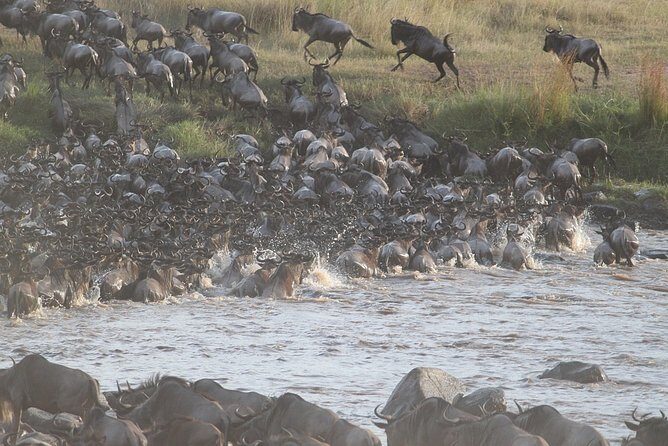 5 Days/4 Nights Kenya Safari - What You’ll Love About This Safari