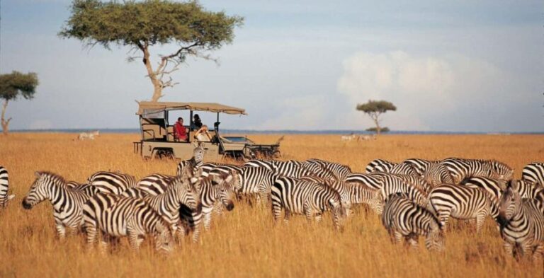 5-Days 4 Nights Safari to Samburu & Ol pejeta Conservancy - Day 2: Full-Day Safari in Samburu