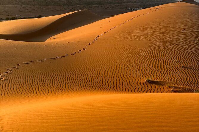 5 Days 6 Nights Private Tour in Oman - What Travelers Say About This Tour