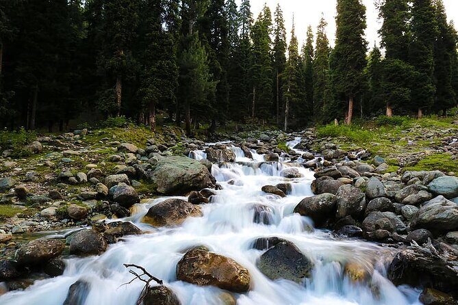 5 Days and 4 Nights Private Tour of Kashmir - Why This Tour Stands Out