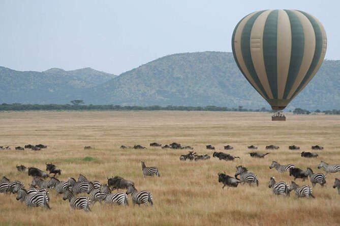 5 Days Best Of Kenya Safari - What Travelers Say About This Safari