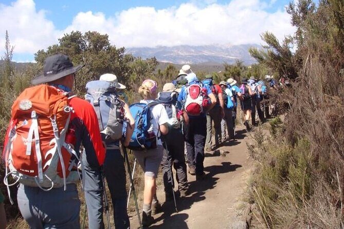 5 Days Classic Kilimanjaro Climb via Marangu route - What’s Included & What’s Not