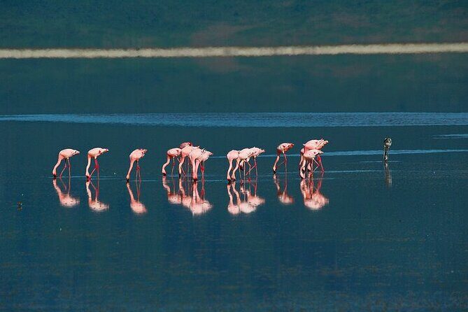 5 Days Exclusive Camping Adventure in Northern Tanzania - What Travelers Say and Why It Matters