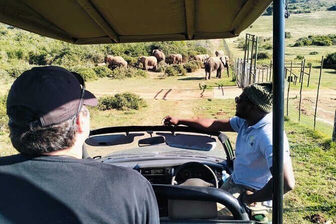 5-Days Garden Route Tour From Port Elizabeth to Cape Town - Who Would Enjoy This Tour?