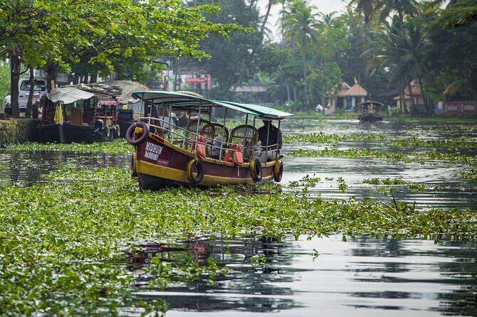 5 Days Kerala Tour with Private Car Houseboat Munnar and Thekkady - What Does This Tour Mean for You?
