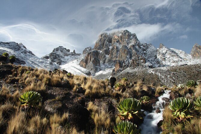 5 Days Mount Kenya Climbing Via Chogoria Sirimone Route - Authentic Experiences and Feedback