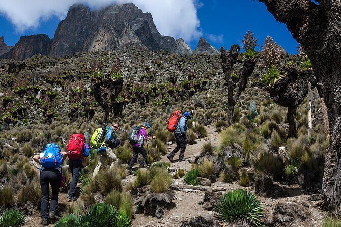 5 Days Mount Kenya Trekking Through Sirimon in Chogoria Route - Practical Details and Considerations