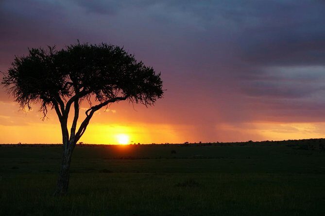 5 DAYS mt. Kenya climb - The Real Value of This Tour