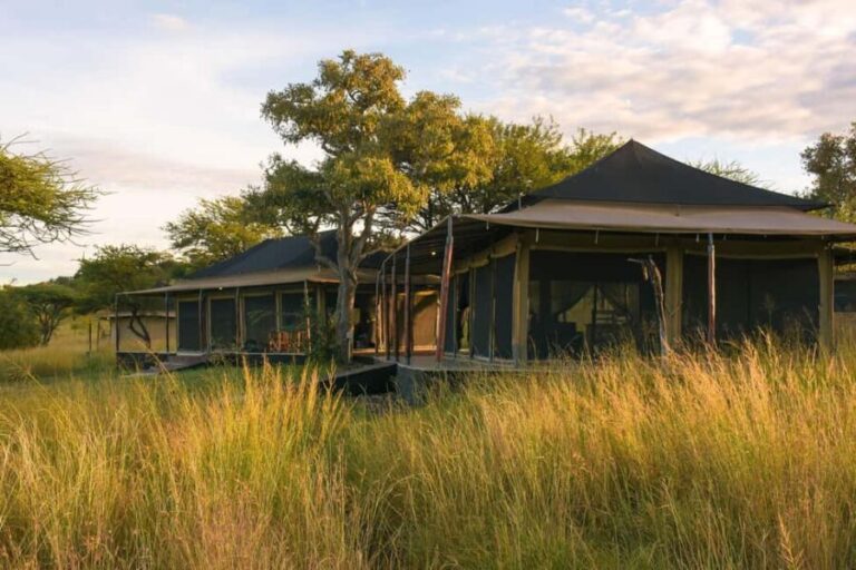 5 Days of Exploration and Wildlife Encounters - What’s Included and What’s Not — A Clear Breakdown