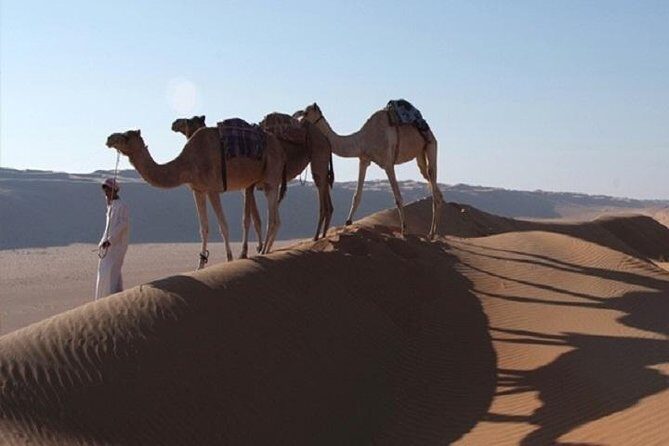 5 Days Package TOUR DINA - Day-by-Day Breakdown: What to Expect