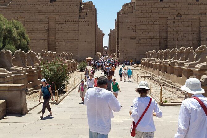 5 Days Private Guided Nile River Cruise Tour from Luxor to Aswan - What Makes This Tour Stand Out?