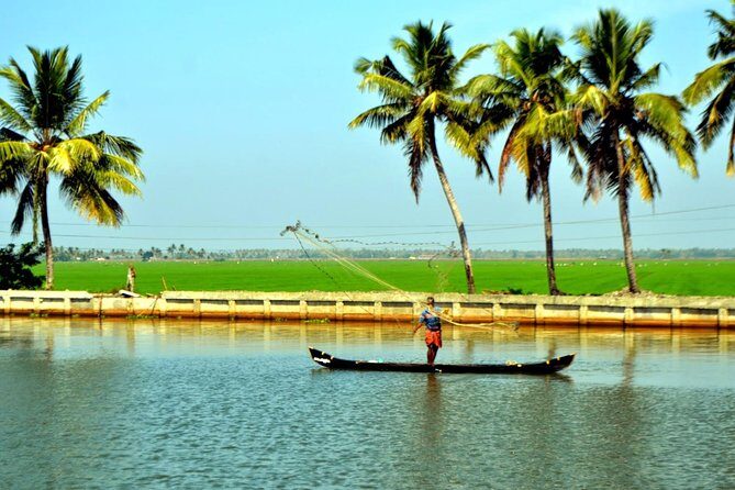 5 Days Private Kerala Tour Package by Saffron India Tours - Transport, Comfort, and Practicality
