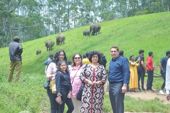 5-Days Private Kerala Tour with Sightseeing Tickets - What You’ll Love About This 5-Day Kerala Tour