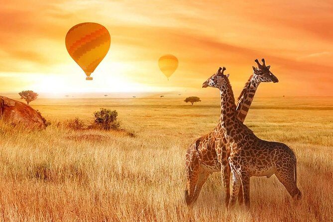 5 Days Private Safari- Tarangire, Serengeti, Ngorongoro & Manyara - Who Is This Tour Best For?