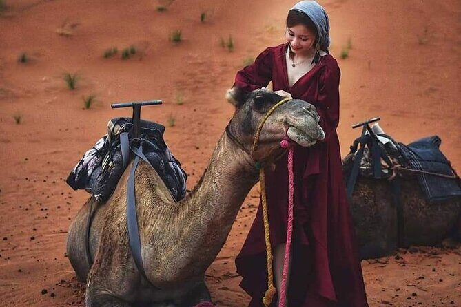 5 Days private tour from Marrakech to Fes Via Desert - Practical Considerations and What You’ll Value