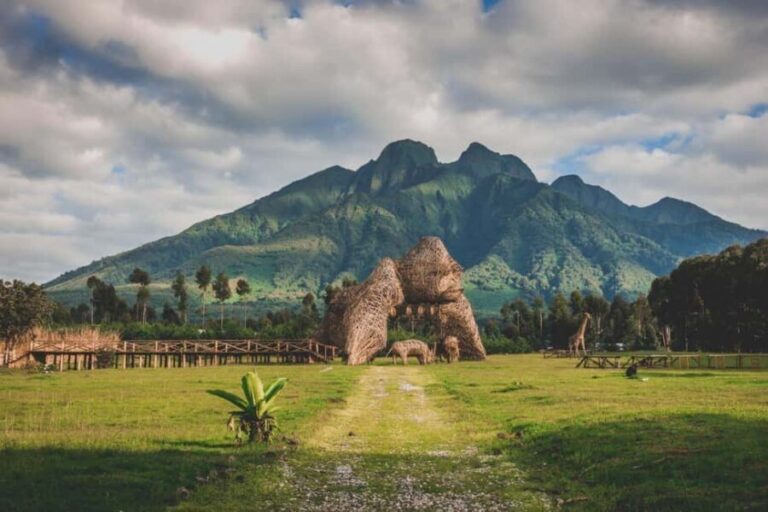 5 Days Rwanda: Volcanoes, Lake Kivu, Nyungwe & Nyanza Tour - Practical Details & Value