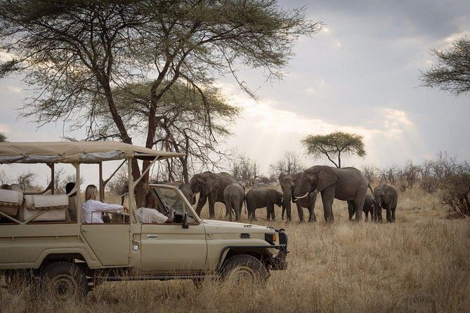 5 Days Safari In Serengeti And Ngorongoro - Final Thoughts: Who Will Love This Tour?