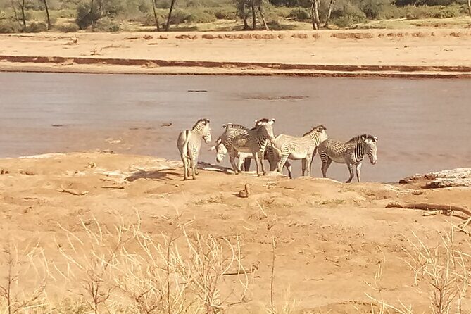 5 Days Safari to Samburu N/R Ol Pejeta Conservancy Hells Gate N/P, Lake Naivasha - What Travelers Say: Authentic Experiences and Expert Guides