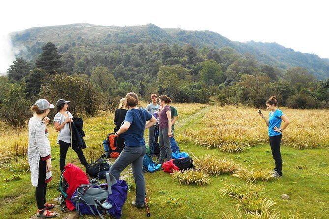5-Days Singalila Ridge Trek in Darjeeling - Day 3: The Long March to Phalut