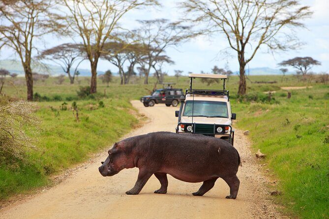 5 Days Tanzania Budget Camping Safari from Arusha - Practical Details and Considerations