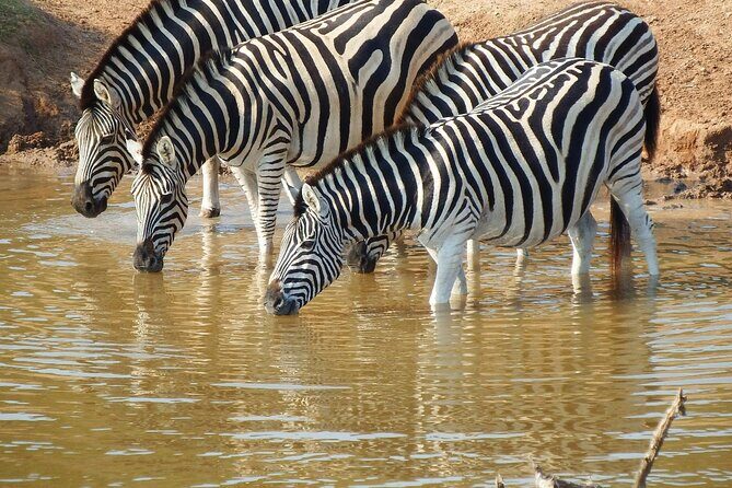 5 Days Tour at East Africa Safari Lake Nakuru and Lake Naivasha - Practical Insights on the Tour