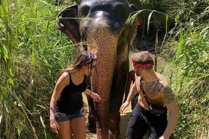 5 Days Tour in Sri Lanka (Hotels with Breakfast & Luxury Car) - The Real Value: What Travelers Can Expect
