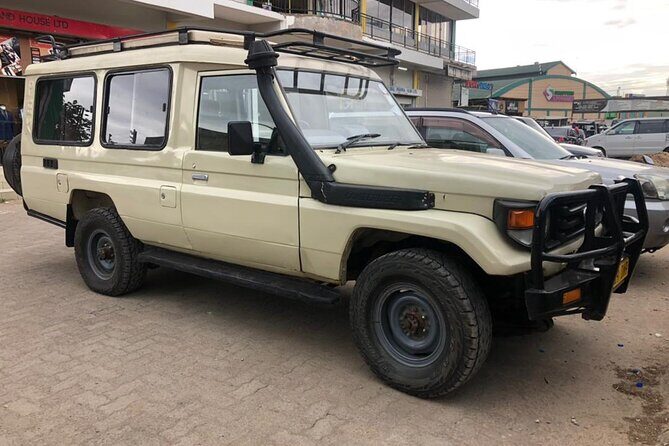 5 Days Under Serengeti Skies Tour - The Itinerary Breakdown: A Day-by-Day Guide
