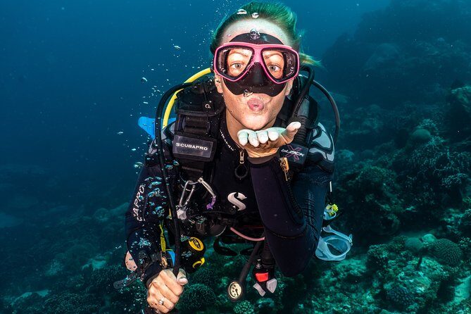5 Fun Dives in Pemuteran (for certified divers) - Exploration in Menjangan Park - What the Guides Bring to the Table