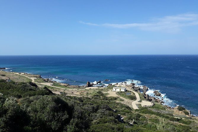 5 hours VIP tour of Tangier - What the reviews reveal