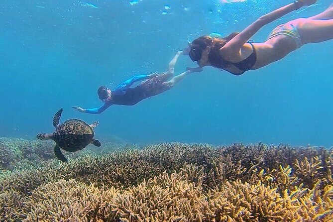 5 Secret Gili Snorkeling & Hoping Island from Gili Gede to Asahan - A Detailed Look at the Tour Experience