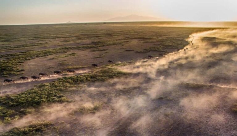 5Day of Wildlife Tarangire, Serengeti, Ngorongoro &Cultural - What’s Included and What’s Not