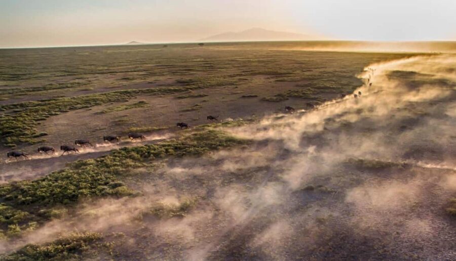 5Day of Wildlife Tarangire, Serengeti, Ngorongoro &Cultural - What’s Included and What’s Not