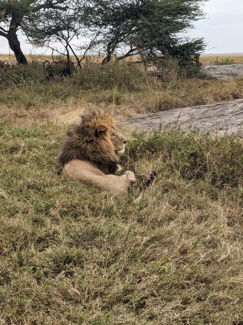 5Days, Tanzania Lodge Safaris & Hot Air Balloon - Who Is This Safari Perfect For?