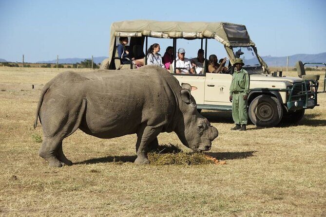 6-Day 5 Nights Masai Mara, Lake Nakuru & Amboseli Budget Safari - Accommodations and Meals