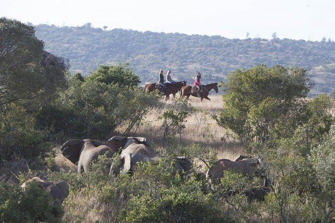 6 Day best of mid northern Kenya - Why This Tour Offers Good Value
