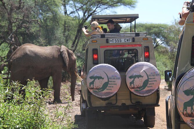 6-Day Big Five Magic Safari Tour - Why This Tour Is a Great Choice