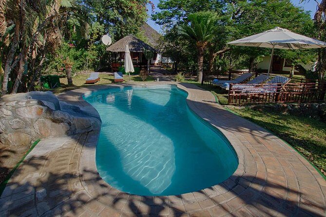 6 Day Classic Kruger National Park Safari from Johannesburg - What Travelers Are Saying