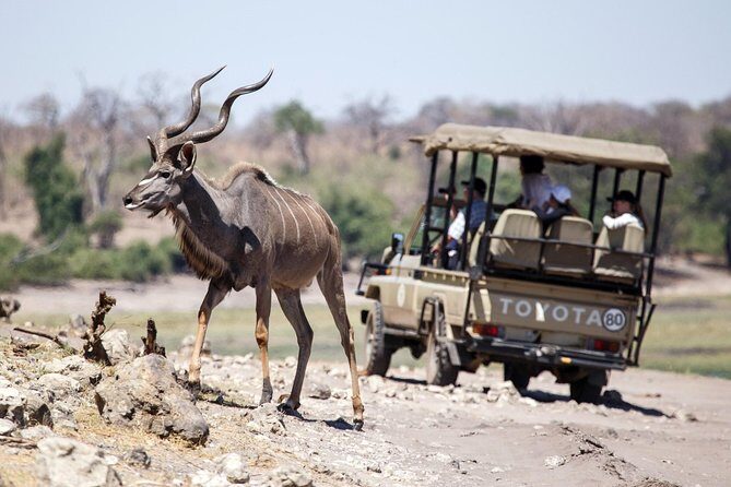 6-day Hwange, Chobe & Victoria Falls Combo - The Practical Side: What This Tour Means for You