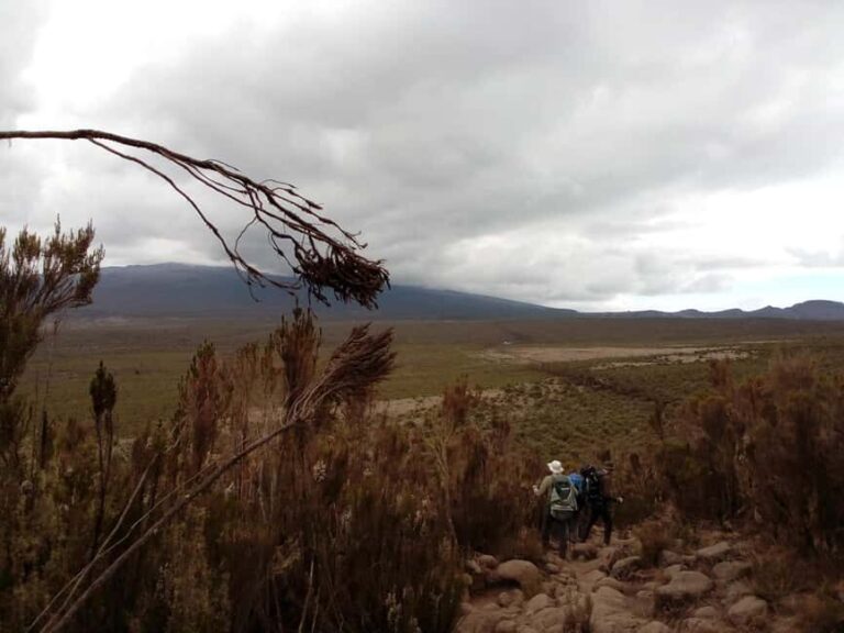 6-Day Kilimanjaro Hiking Machame Route - Practical Tips for Your Kilimanjaro Adventure