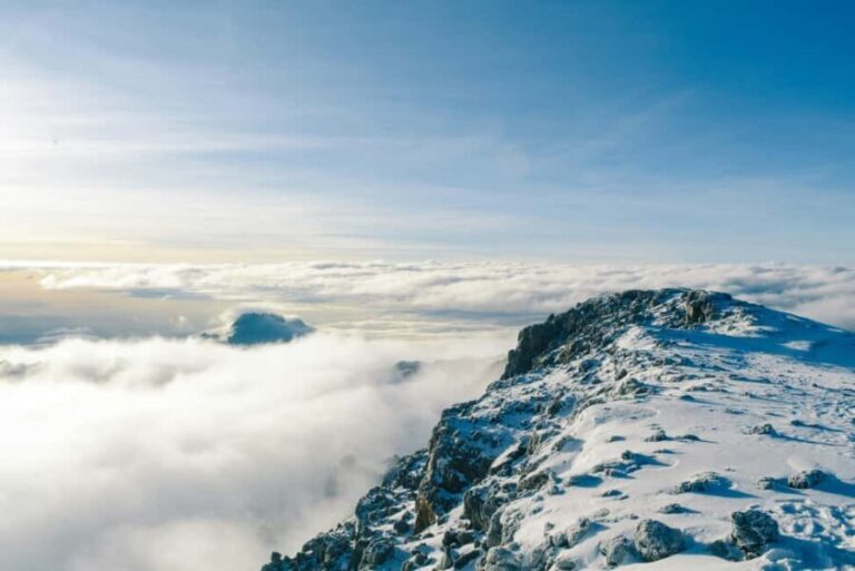 6-Day Marangu Route Kilimanjaro Climb - Rest and Acclimatization at Horombo