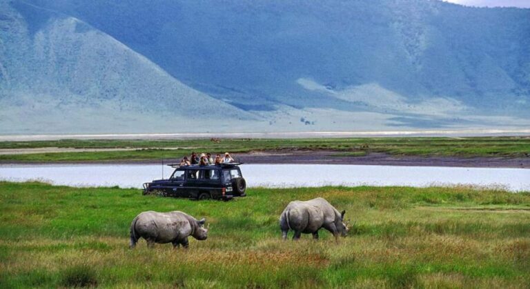 6-Day Mid-Luxury Highlights of Tanzania - Genuine Value and What Travelers Say