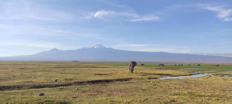 6-Day Mid-Luxury Safari: Luxury Accommodation - Transitioning from Amboseli to Lake Naivasha