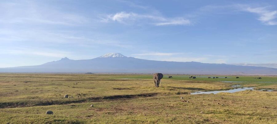 6-Day Mid-Luxury Safari: Luxury Accommodation - Transitioning from Amboseli to Lake Naivasha