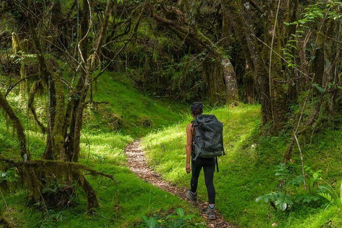 6-Day Mount Meru Climb through Momella Route Guided Tour - The Value of This Trek
