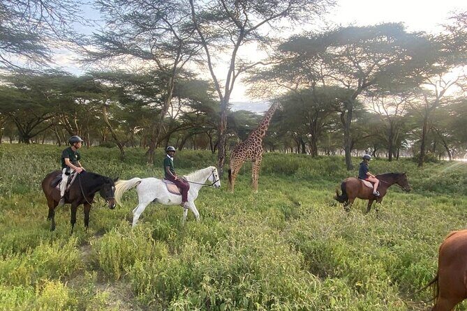 6 Day Nairobi-Amboseli-Maasai Mara Private Semi Luxury Tour - What We Love About This Tour