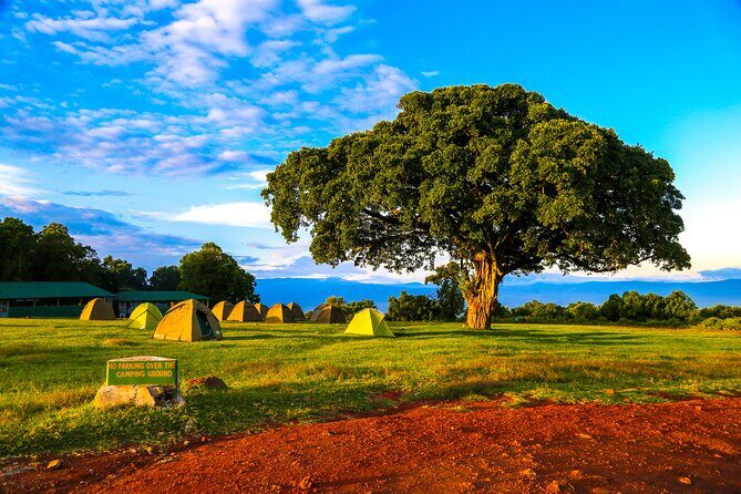 6 Day Private Camping Safari - Day 2: Lake Manyara — A Birdwatcher’s Paradise