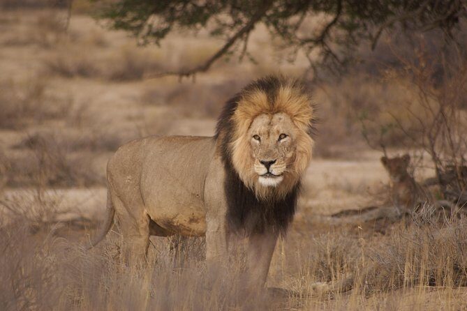 6 Day Private Guided Accommodated Namibian Loop - Practical Details and What to Expect