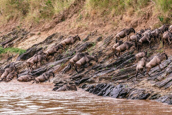 6-Day Private Tour in Samburu, Nakuru and Maasai Mara - Analyzing the Cost and Value
