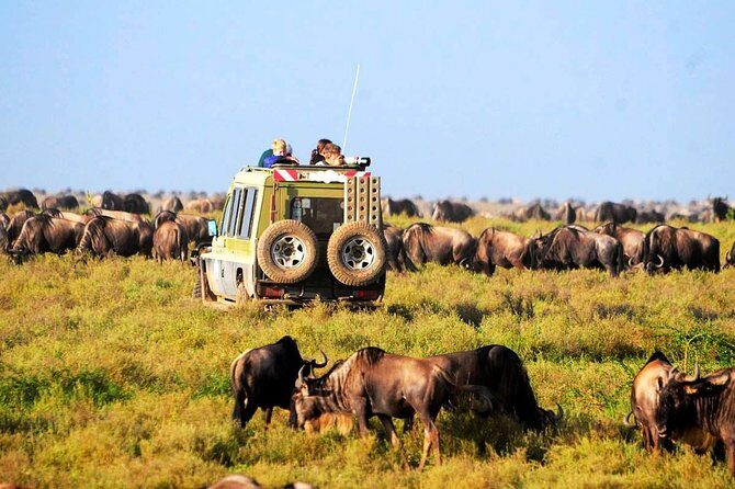 6-Day Tanzania Camping Safari: Lake Manyara, Serengeti, Ngorongoro Cater and Tarangire National Park from Arusha - The Experience: What Sets It Apart
