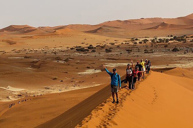 6- Day Wildlife, Oceans & Dunes - What Travelers Can Expect